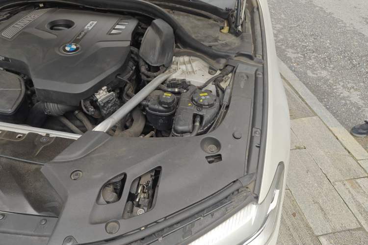 Used BMW 5 Series 2018 530Li xDrive Luxury Package Engine Bay Left