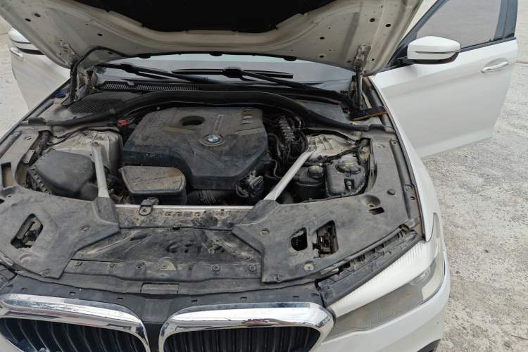 Used BMW 5 Series 2018 Facelifted 530Li xDrive M Sport Package Engine Bay Left