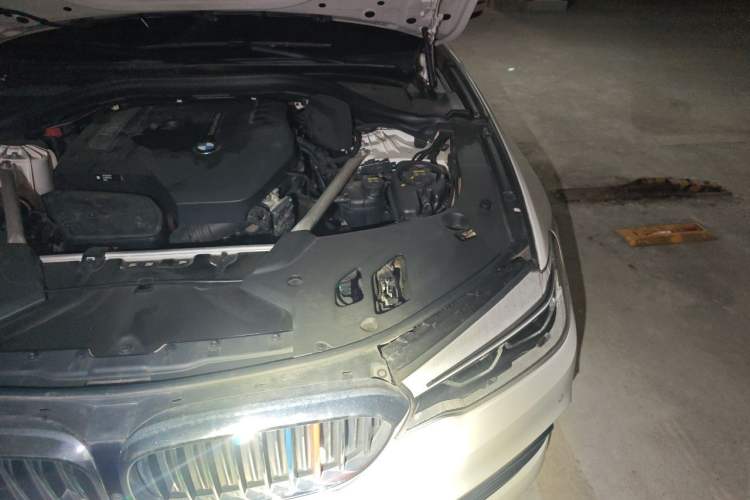Used BMW 5 Series 2018 Facelifted 530Li Luxury Edition Premium Package Engine Bay Left