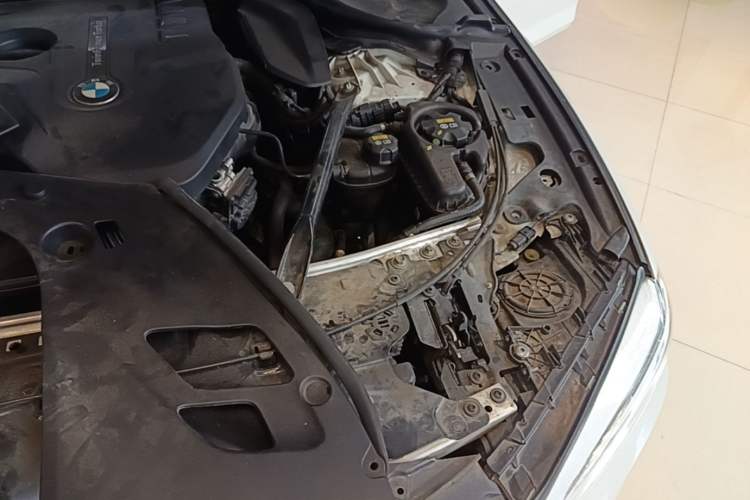 Used BMW 5 Series 2018 530Li Luxury Edition Premium Package Engine Bay Left