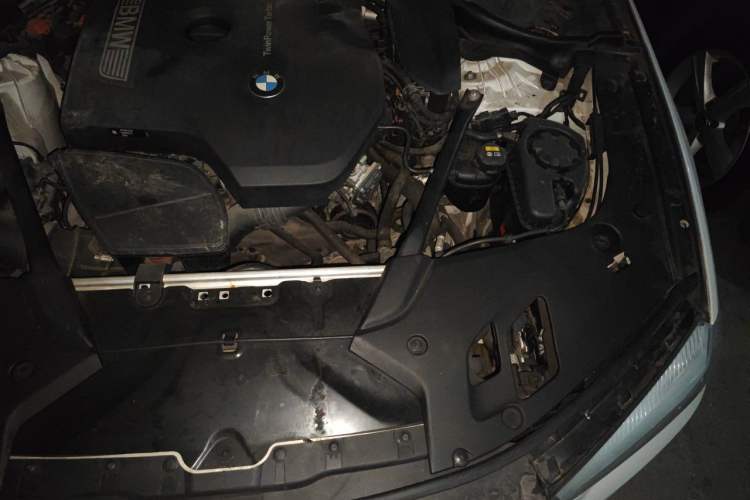 Used BMW 5 Series 2018 530Li Leading Edition Luxury Package Engine Bay Left