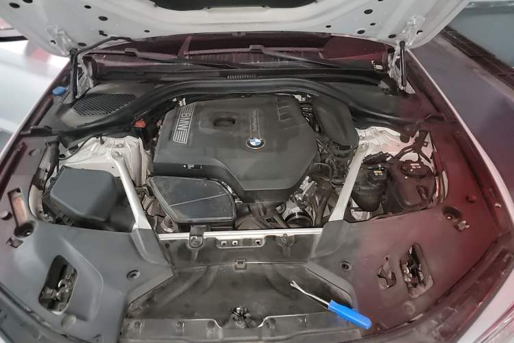 Used BMW 5 Series 2018 Facelifted 530Li Luxury Edition Premium Package Engine Bay