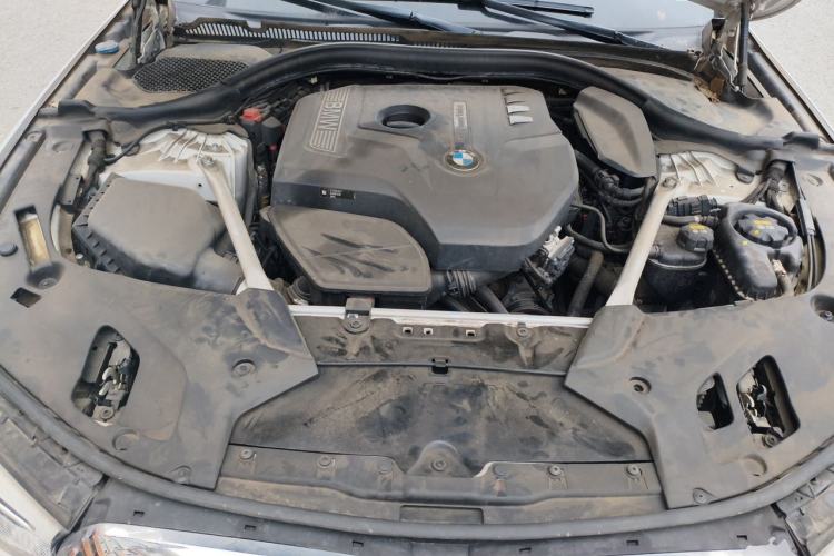 Used BMW 5 Series 2018 Restyled 530Li Luxury Edition M Sport Package Engine Bay