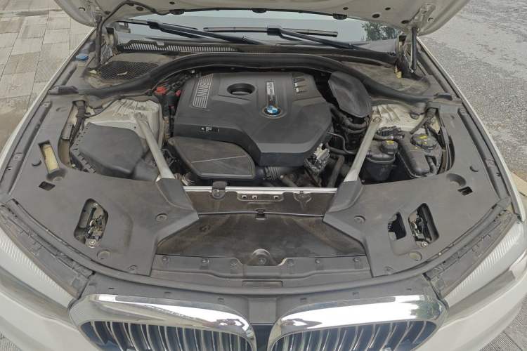 Used BMW 5 Series 2018 530Li xDrive Luxury Package Engine Bay