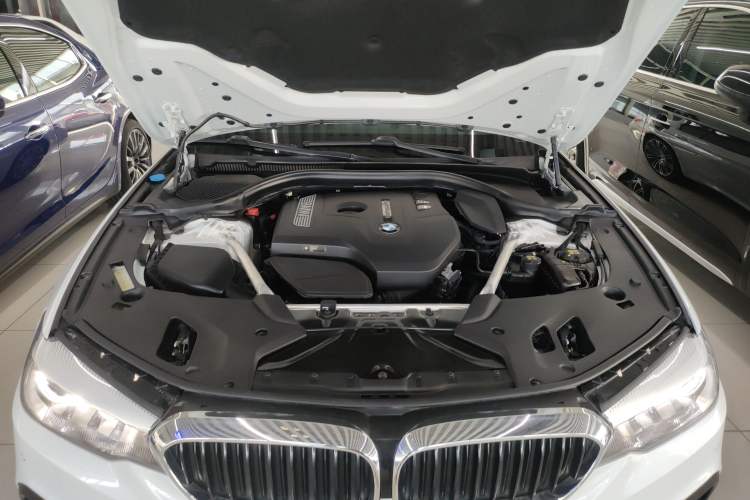 Used BMW 5 Series 2018 Restyled 530Li Leading Edition M Sport Package Engine Bay