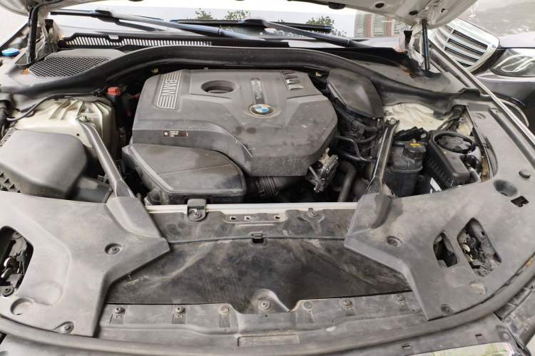Used BMW 5 Series 2018 530Li Luxury Edition M Sport Package Engine Bay