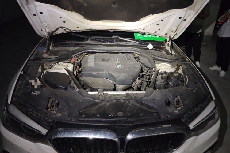 Used BMW 5 Series 2018 Restyled 530Li Luxury Edition M Sport Package Engine Bay