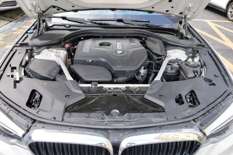 Used BMW 5 Series 2018 Restyled 530Li Leading Edition M Sport Package Engine Bay
