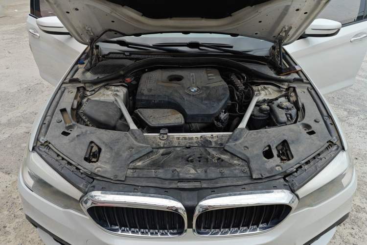 Used BMW 5 Series 2018 Facelifted 530Li xDrive M Sport Package Engine Bay