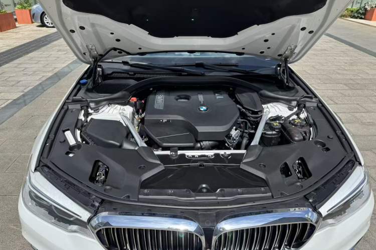 Used BMW 5 Series 2018 Facelifted 530Li Luxury Edition Premium Package Engine Bay