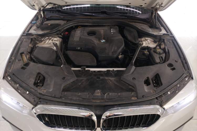 Used BMW 5 Series 2018 530Li xDrive M Sport Package Engine Bay