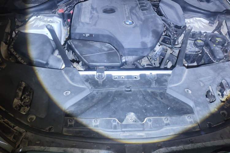 Used BMW 5 Series 2018 530Li xDrive M Sport Package Engine Bay