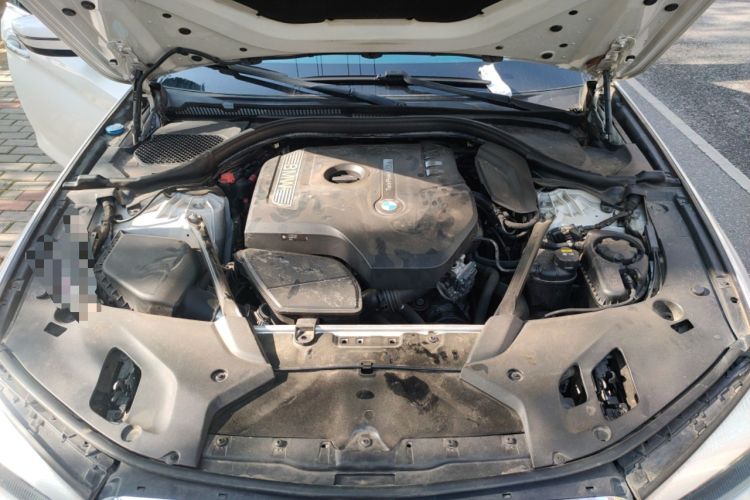 Used BMW 5 Series 2018 Restyled 530Li Leading Edition M Sport Package Engine Bay