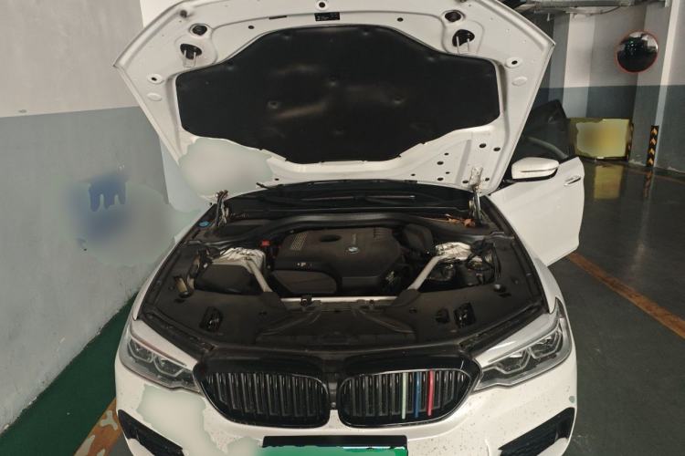 Used BMW 5 Series 2018 Restyled 530Li Luxury Edition M Sport Package Engine Bay