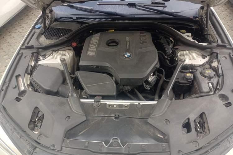 Used BMW 5 Series 2018 Restyled 530Li Luxury Edition M Sport Package Engine Bay