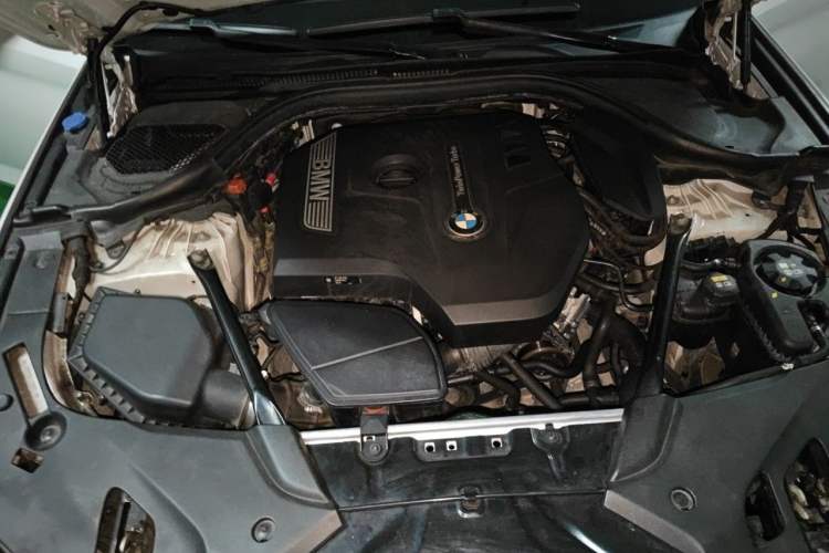 Used BMW 5 Series 2018 525Li M Sport Package Engine Bay