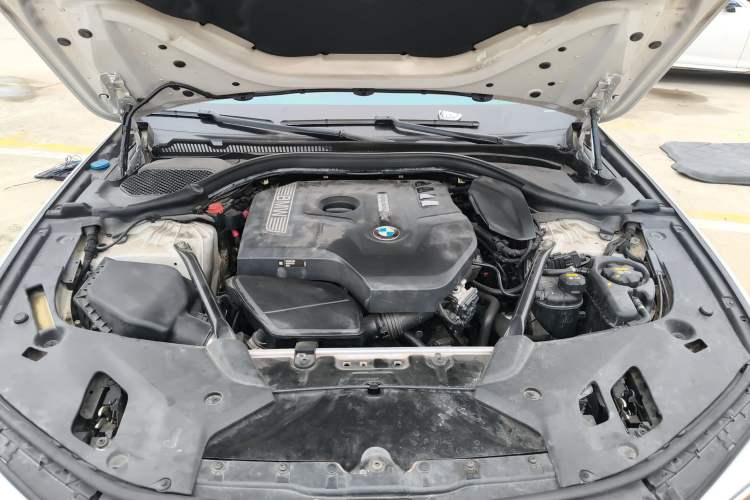Used BMW 5 Series 2018 530Li Luxury Edition M Sport Package Engine Bay