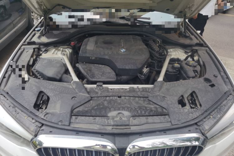 Used BMW 5 Series 2018 Revised Version 530Li Leading Edition Luxury Package Engine Bay