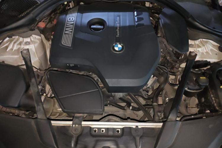 Used BMW 5 Series 2018 Restyled 530Li Luxury Edition M Sport Package Engine Bay