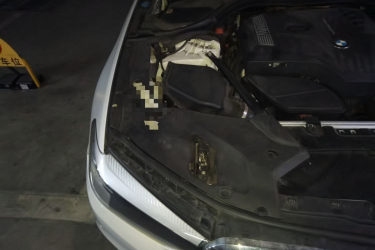 Used BMW 5 Series 2018 528Li Launch Special Edition Engine Bay Right
