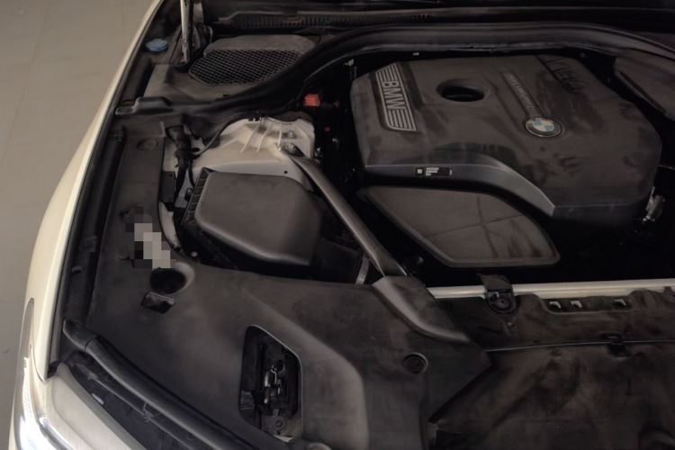 Used BMW 5 Series 2018 Facelifted 530Li Luxury Edition Premium Package Engine Bay Right