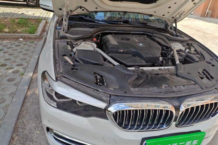 Used BMW 5 Series 2018 530Li Leading Edition Luxury Package Engine Bay Right