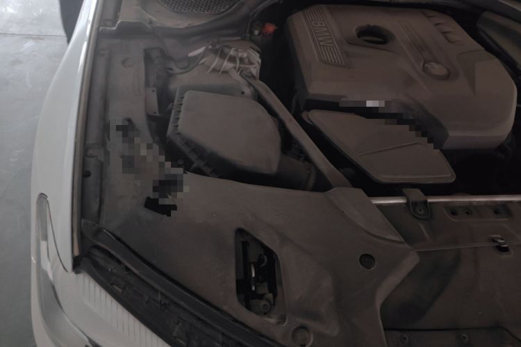 Used BMW 5 Series 2018 528Li Launch Special Edition Engine Bay Right