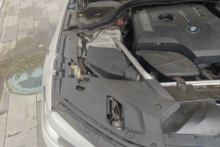 Used BMW 5 Series 2018 530Li xDrive Luxury Package Engine Bay Right