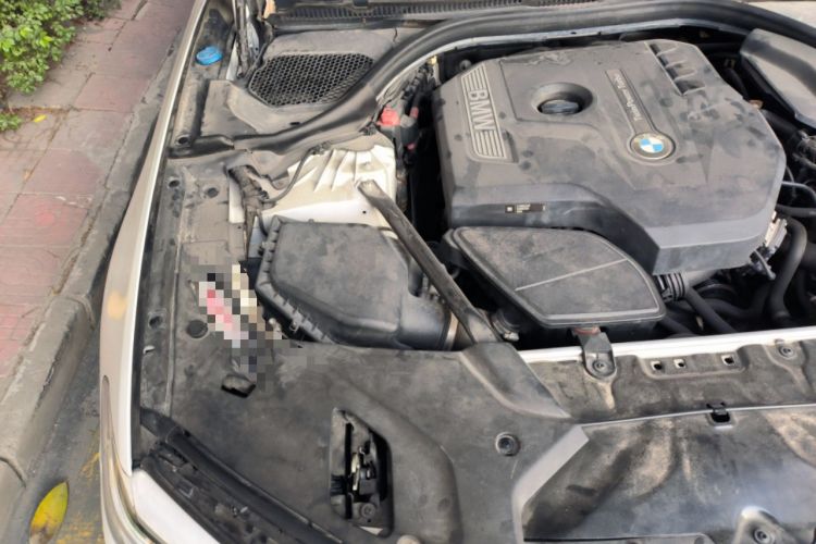 Used BMW 5 Series 2018 530Li Luxury Edition M Sport Package Engine Bay Right