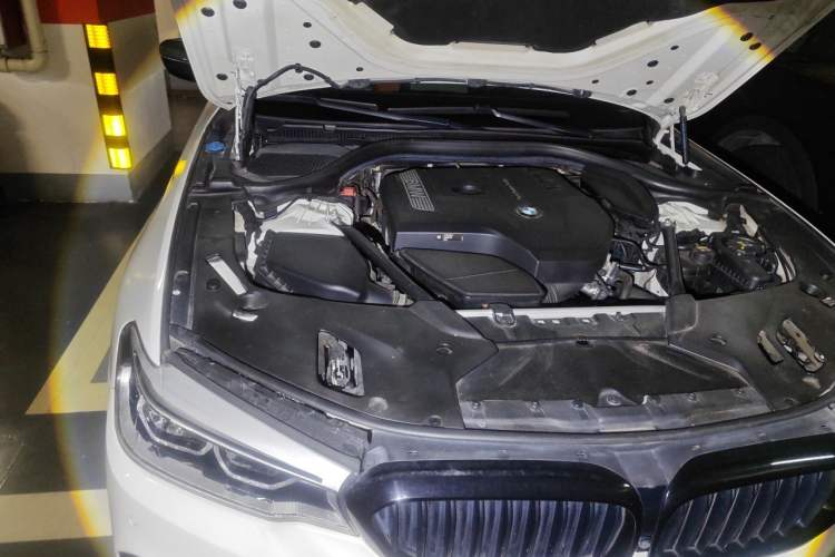 Used BMW 5 Series 2018 530Li Luxury Edition M Sport Package Engine Bay Right
