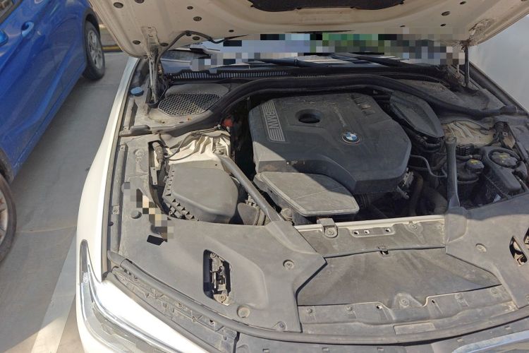 Used BMW 5 Series 2018 530Li Luxury Edition M Sport Package Engine Bay Right