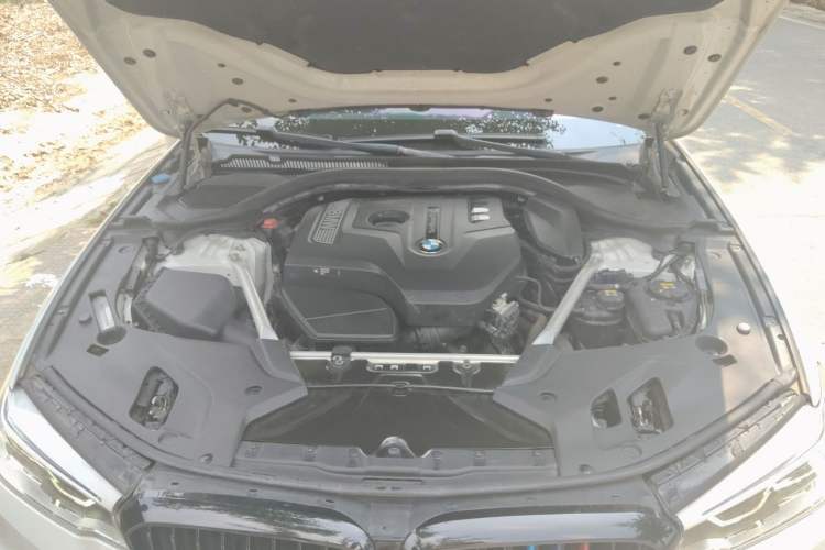 Used BMW 5 Series 2018 Restyled 530Li Luxury Edition M Sport Package Engine Bay