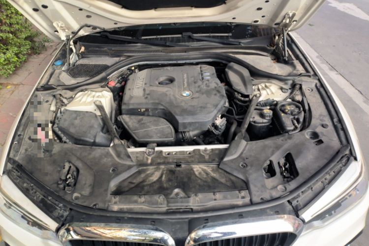 Used BMW 5 Series 2018 530Li Luxury Edition M Sport Package Engine Bay