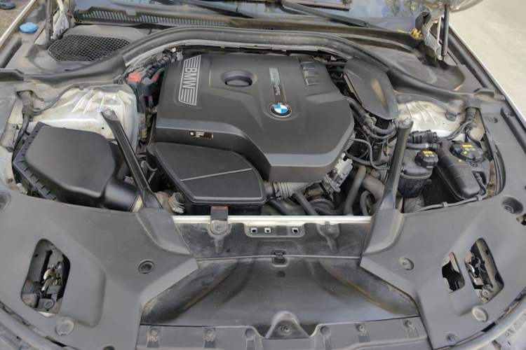 Used BMW 5 Series 2018 Revised Version 530Li Leading Edition Luxury Package Engine Bay
