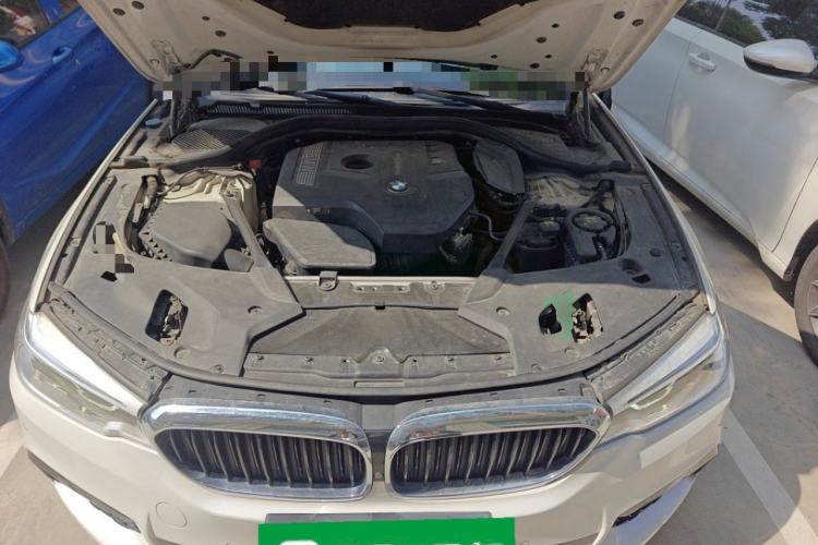 Used BMW 5 Series 2018 530Li Luxury Edition M Sport Package Engine Bay
