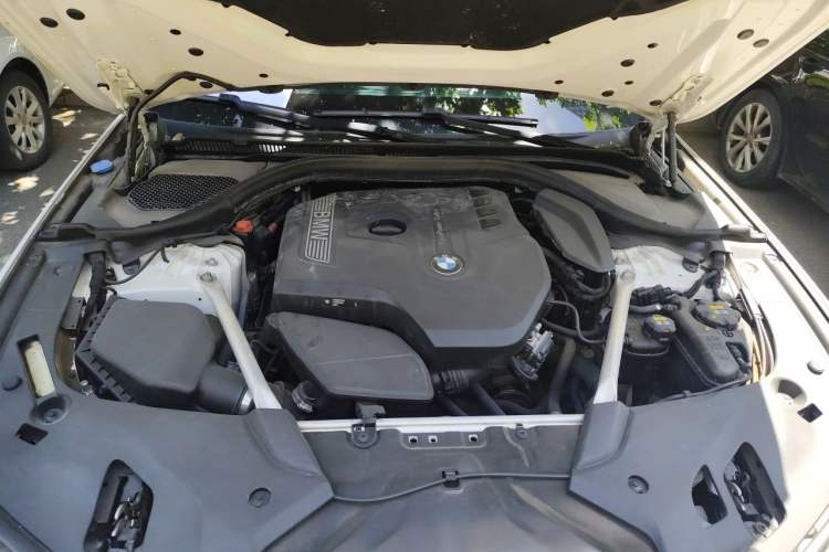 Used BMW 5 Series 2018 530Li xDrive Luxury Package Engine Bay