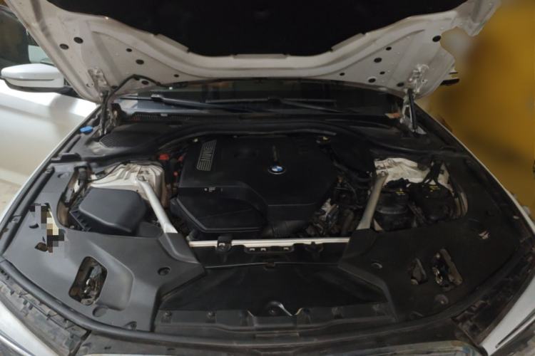 Used BMW 5 Series 2018 Restyled 530Li Leading Edition M Sport Package Engine Bay