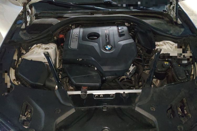 Used BMW 5 Series 2018 Revised Version 530Li Leading Edition Luxury Package Engine Bay