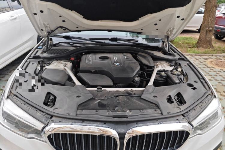 Used BMW 5 Series 2018 Restyled 530Li Leading Edition M Sport Package Engine Bay