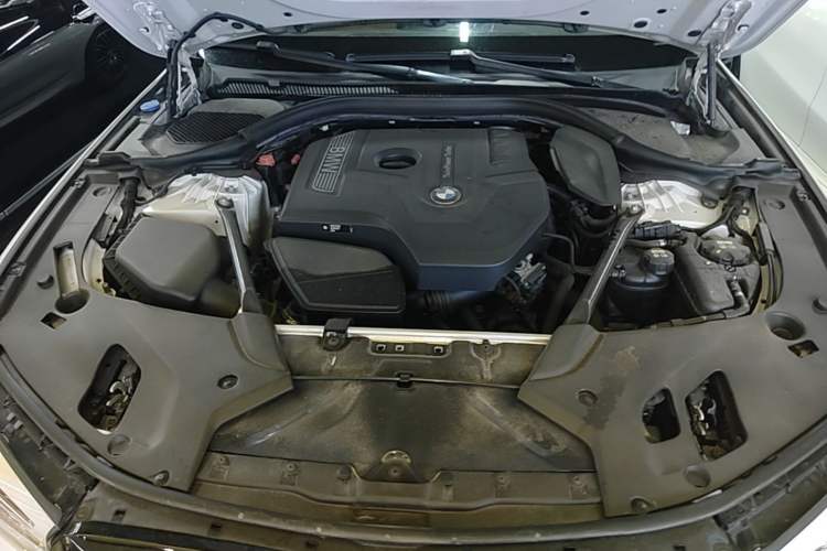 Used BMW 5 Series 2018 530Li Luxury Edition M Sport Package Engine Bay