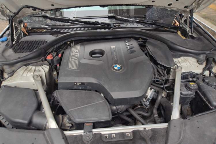 Used BMW 5 Series 2018 Restyled 530Li Luxury Edition M Sport Package Engine Bay