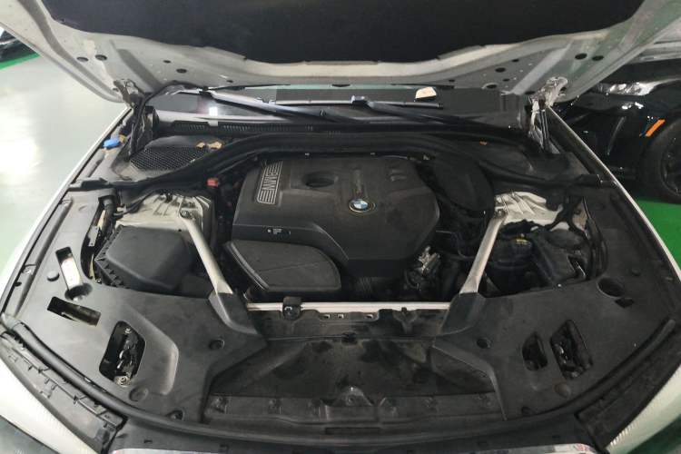 Used BMW 5 Series 2018 530Li Leading Edition Luxury Package Engine Bay