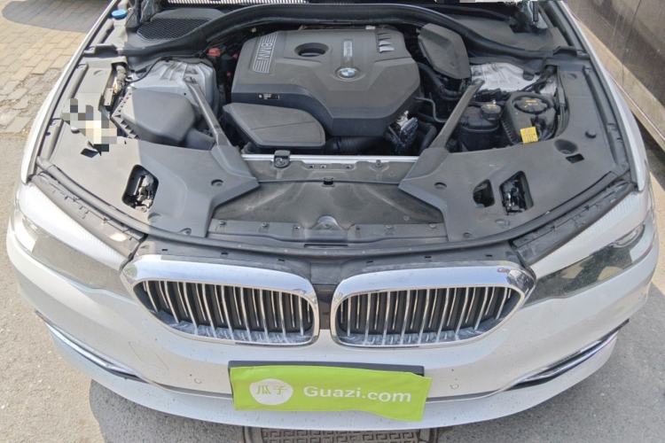 Used BMW 5 Series 2018 530Li xDrive Luxury Package Engine Bay