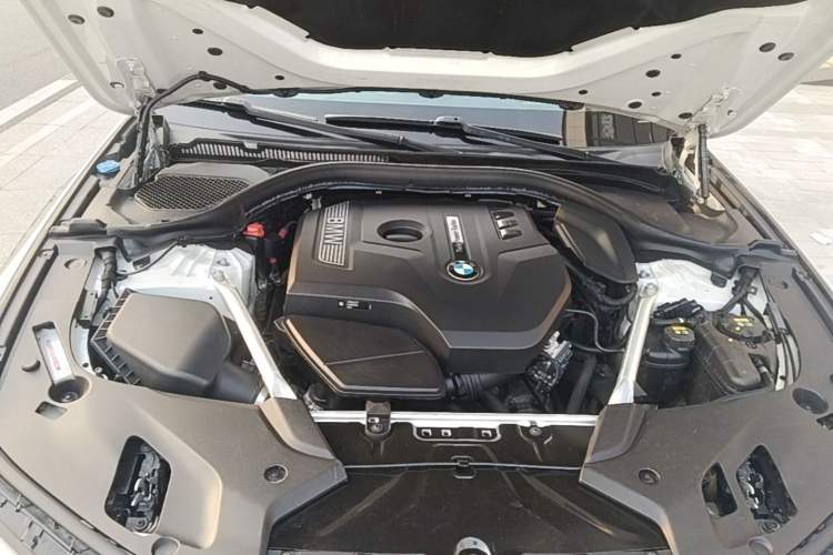 Used BMW 5 Series 2018 Facelifted 530Li Luxury Edition Premium Package Engine Bay