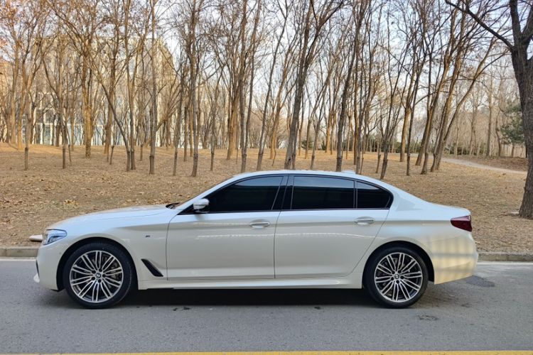 Used BMW 5 Series 2018 530Li Luxury Edition M Sport Package Exterior 2