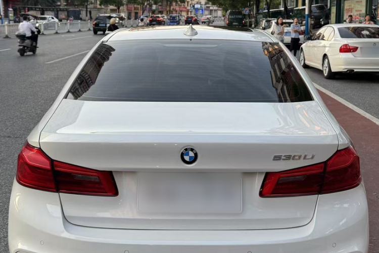 Used BMW 5 Series 2018 530Li Luxury Edition M Sport Package Exterior 4