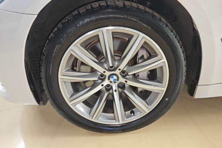 Used BMW 5 Series 2018 528Li Launch Special Edition Exterior 4