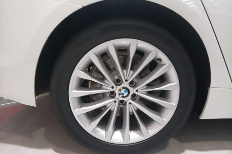 Used BMW 5 Series 2018 Revised Version 530Li Leading Edition Luxury Package Exterior 5