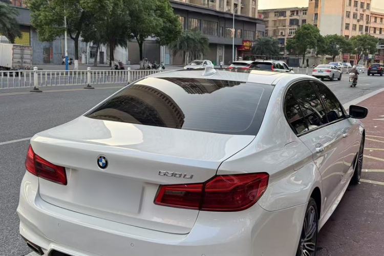 Used BMW 5 Series 2018 530Li Luxury Edition M Sport Package Exterior 5