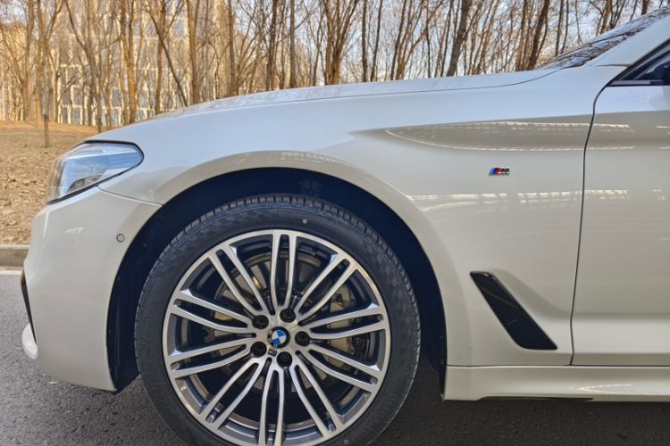 Used BMW 5 Series 2018 530Li Luxury Edition M Sport Package Exterior 7